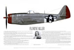 "Florene Miller,Wasp Pilot"-Ernie Boyette-P-47 Thunderbolt World War II Art